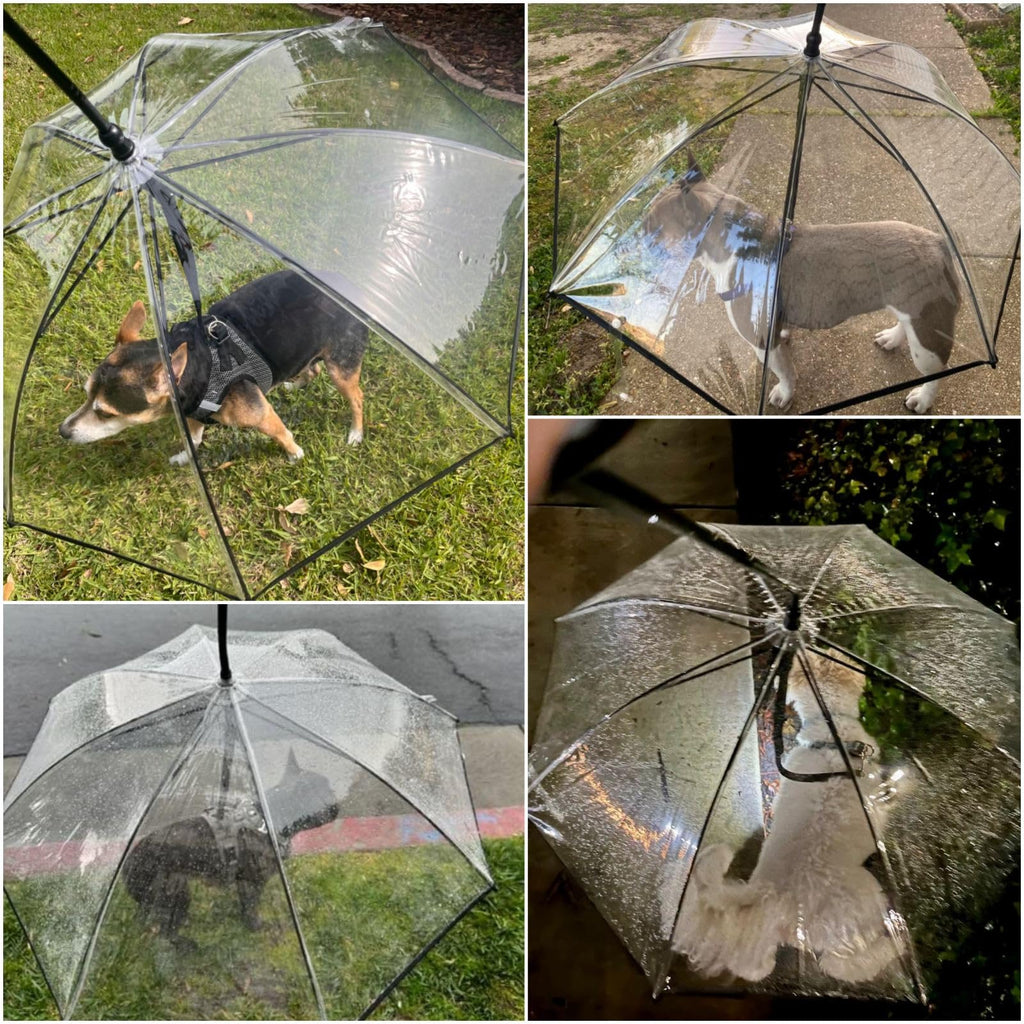 Clear Dog Umbrella Leash For Small Dogs