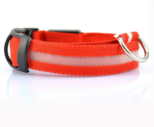LED Dog Collar | Night Safety &amp; Visibility for Outdoor Adventures