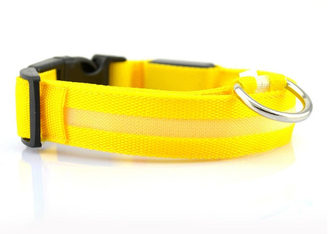 LED Dog Collar | Night Safety &amp; Visibility for Outdoor Adventures
