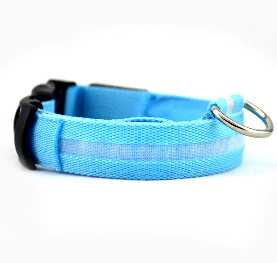 LED Dog Collar | Night Safety &amp; Visibility for Outdoor Adventures