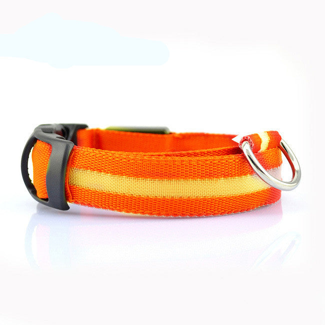 LED Dog Collar | Night Safety &amp; Visibility for Outdoor Adventures