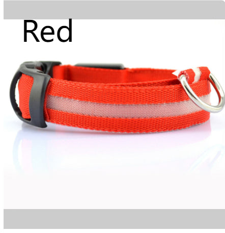 LED Dog Collar | Night Safety &amp; Visibility for Outdoor Adventures