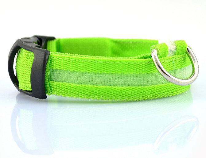 LED Dog Collar | Night Safety &amp; Visibility for Outdoor Adventures