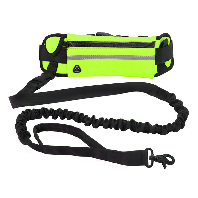 Hands-Free Dog Running Belt &amp; Leash | Built for Active Adventures