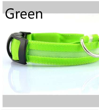 LED Dog Collar | Night Safety &amp; Visibility for Outdoor Adventures