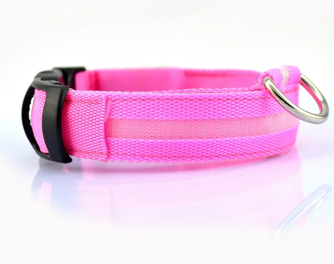 LED Dog Collar | Night Safety &amp; Visibility for Outdoor Adventures