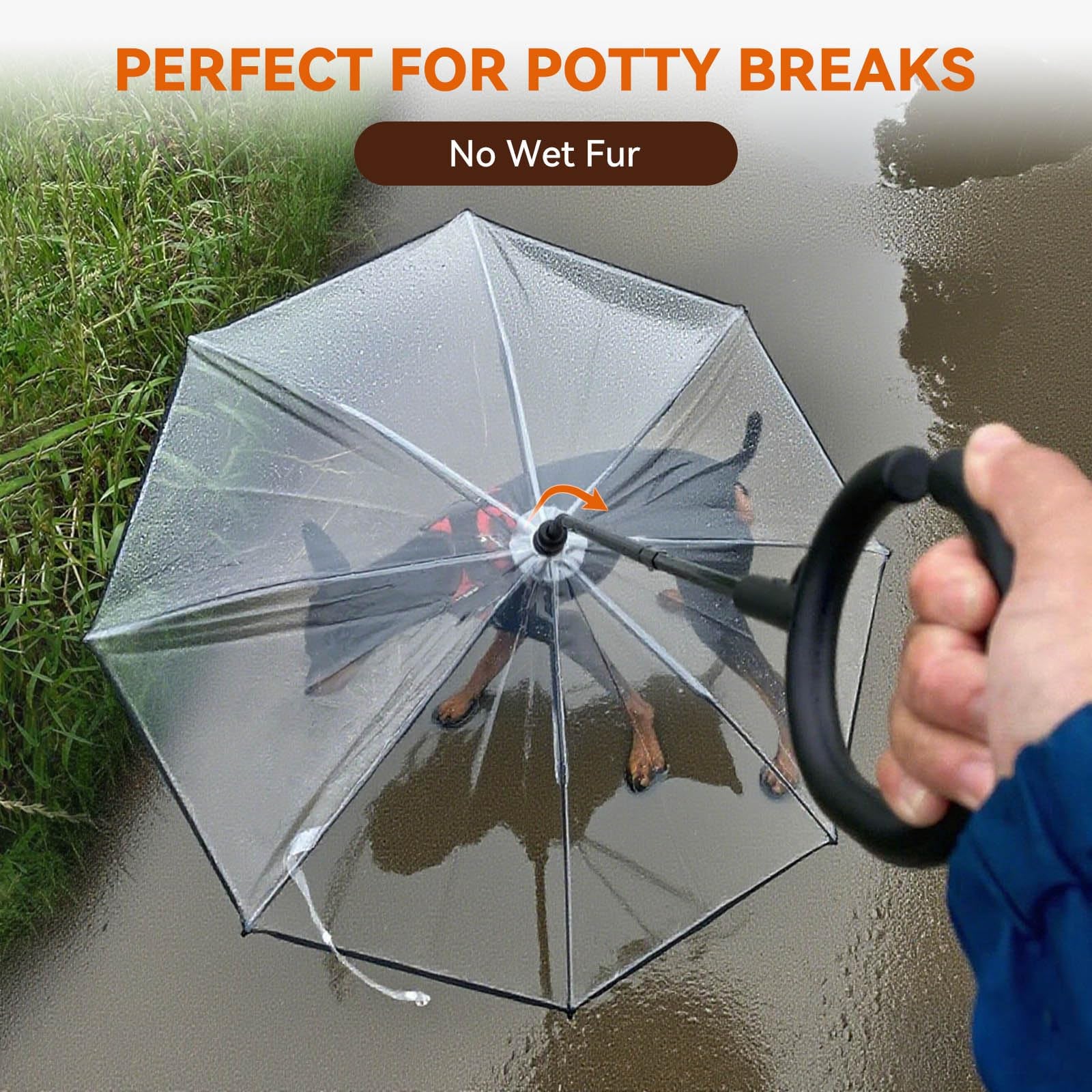 Clear Dog Umbrella Leash For Small Dogs