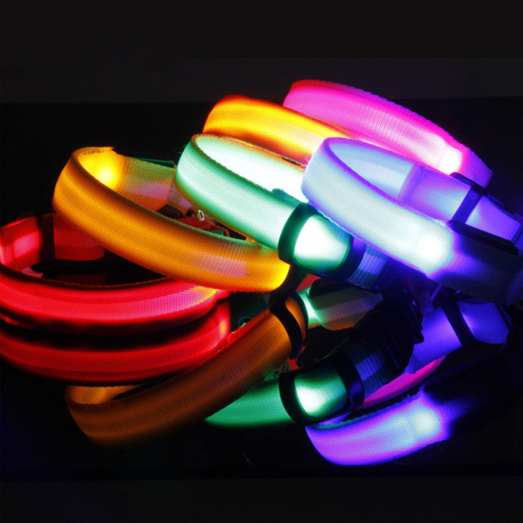 LED Dog Collar | Night Safety &amp; Visibility for Outdoor Adventures