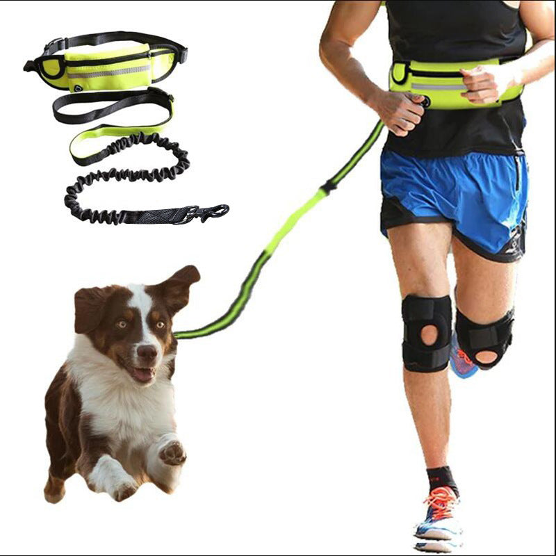 Hands-Free Dog Running Belt &amp; Leash | Built for Active Adventures