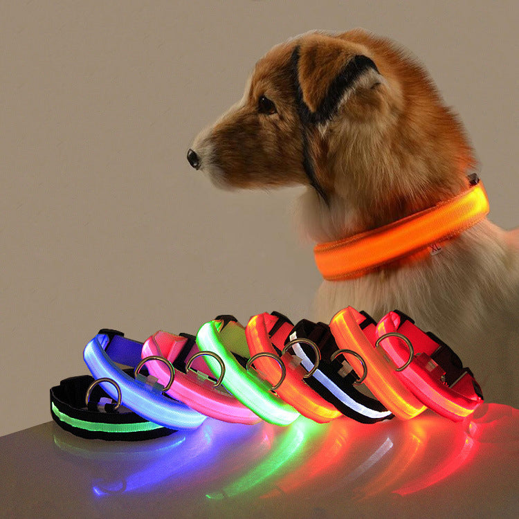 LED Dog Collar | Night Safety &amp; Visibility for Outdoor Adventures