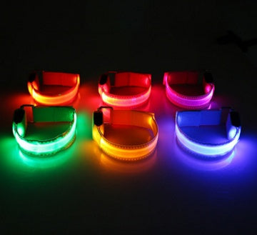 LED Dog Collar | Night Safety &amp; Visibility for Outdoor Adventures