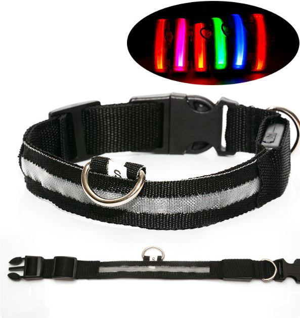 LED Dog Collar | Night Safety &amp; Visibility for Outdoor Adventures