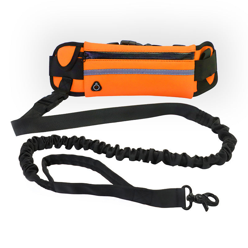 Hands-Free Dog Running Belt &amp; Leash | Built for Active Adventures