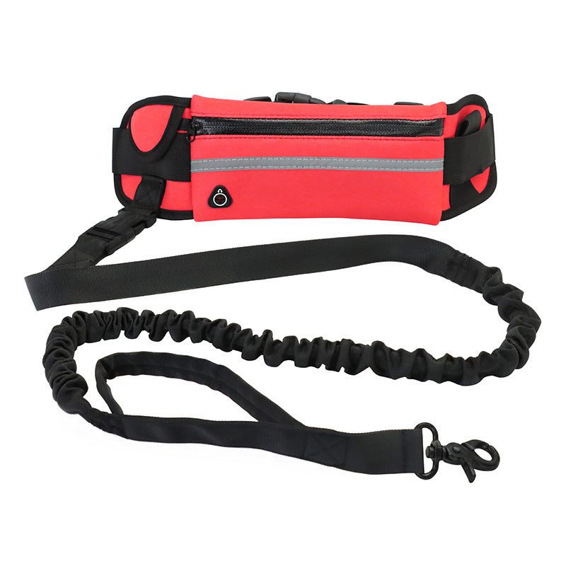 Hands-Free Dog Running Belt &amp; Leash | Built for Active Adventures